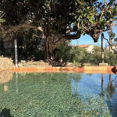 Bed & Breakfast Villa Magdala-Chambre D'Hote 1 Hyères
